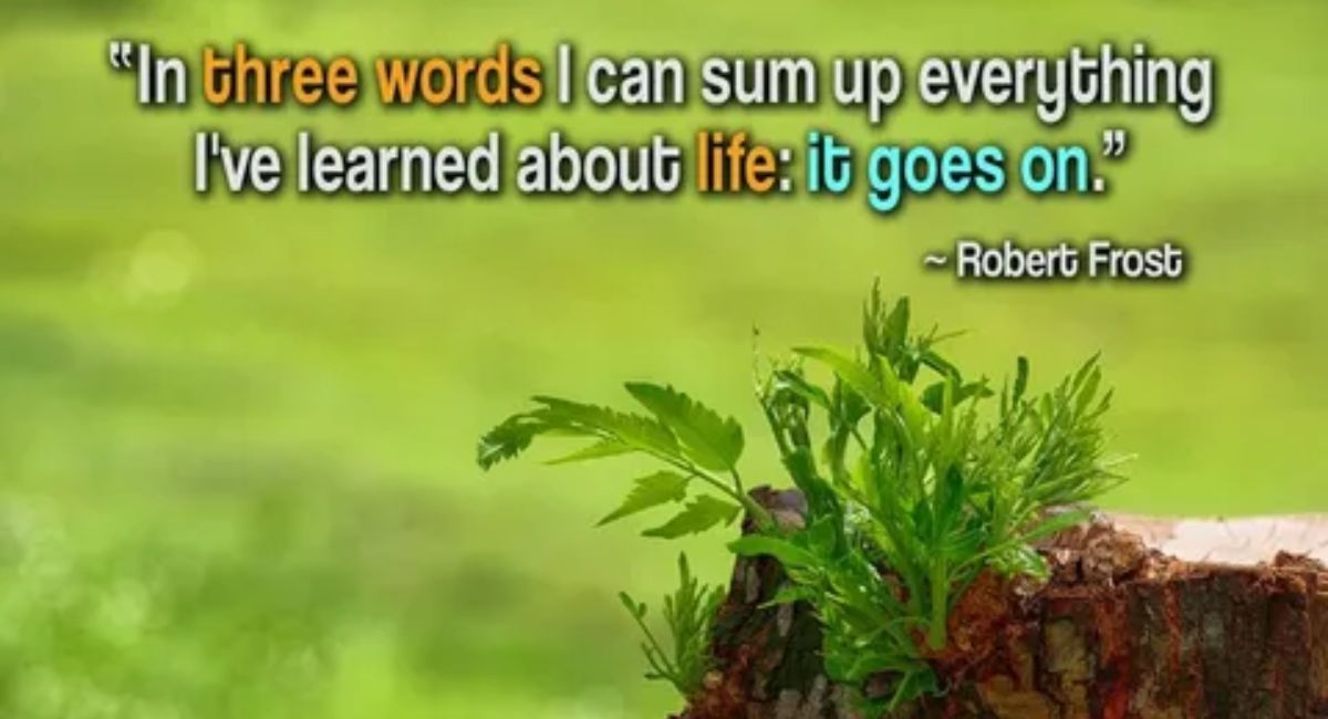 Inspiring personal growth quotes that encourage everyday evolution, self-improvement, and becoming the best version of yourself.