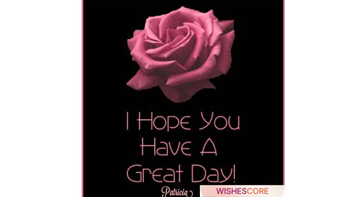 New What You Related Special Day Wishes in 2026 – Latest Trending and Viral Wishes Collection