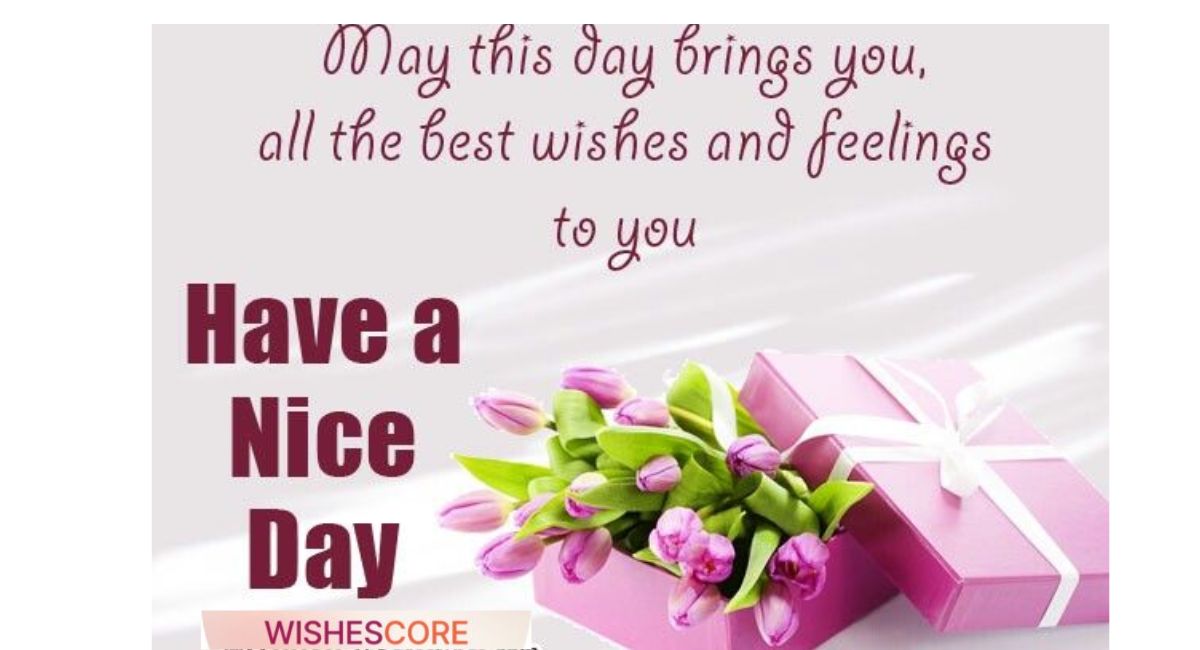 New What You Related Special Day Wishes in 2026 – Latest Trending and Viral Wishes Collection