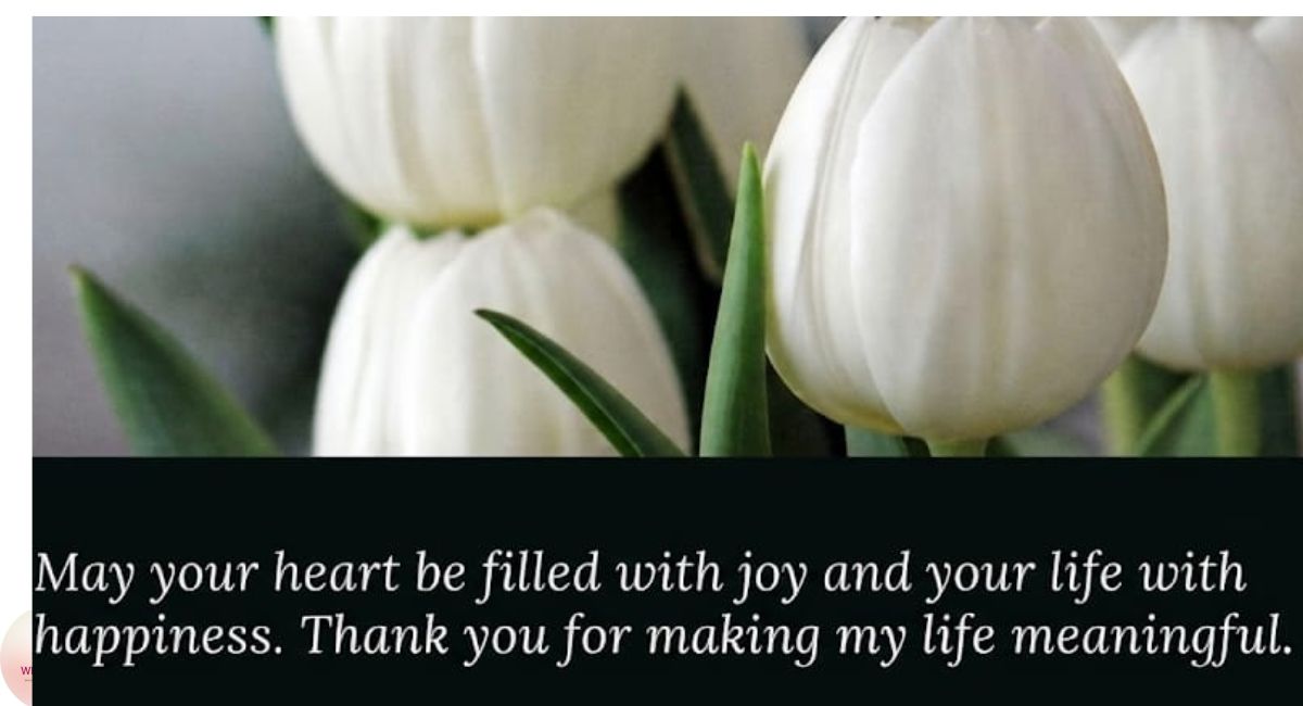 Heartfelt special person wishes image featuring elegant flowers, warm lighting, and a meaningful quote celebrating someone truly special.