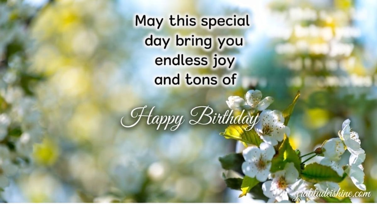 Beautiful celebration image featuring 250 special day wishes, heartfelt quotes, and meaningful messages for every occasion.