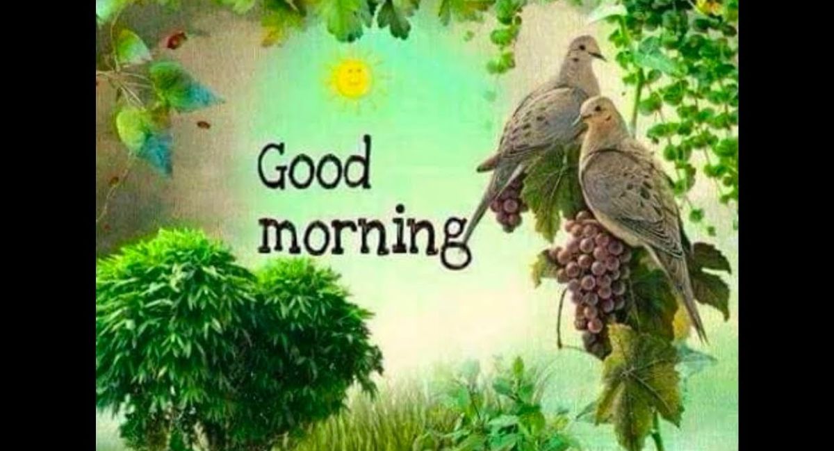 Good morning special day wishes with beautiful sunrise, inspiring quotes, heartfelt greetings, and positive messages to brighten every moment.