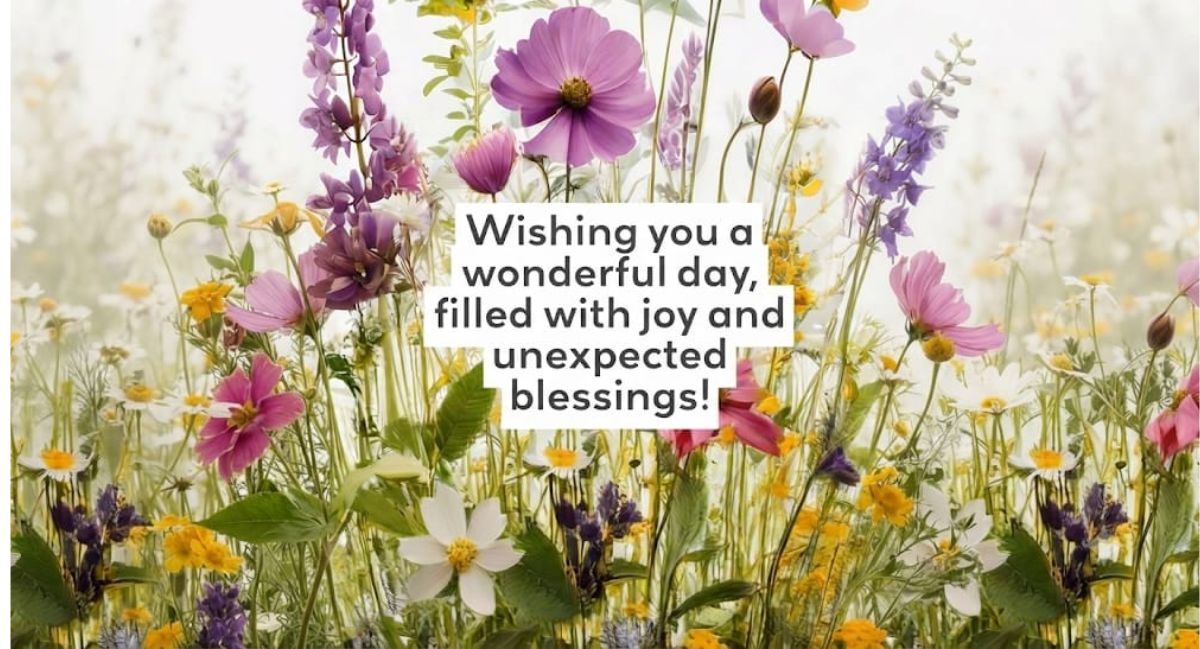 Beautiful celebration image featuring 250 special day wishes, heartfelt quotes, and meaningful messages for every occasion.