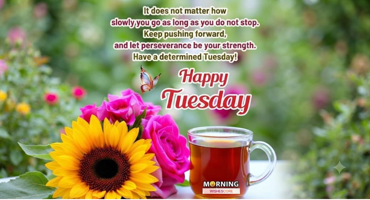 Good morning special day wishes with beautiful sunrise, inspiring quotes, heartfelt greetings, and positive messages to brighten every moment.