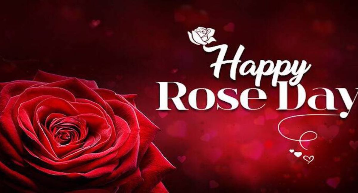 Beautiful celebration image featuring 250 special day wishes, heartfelt quotes, and meaningful messages for every occasion.