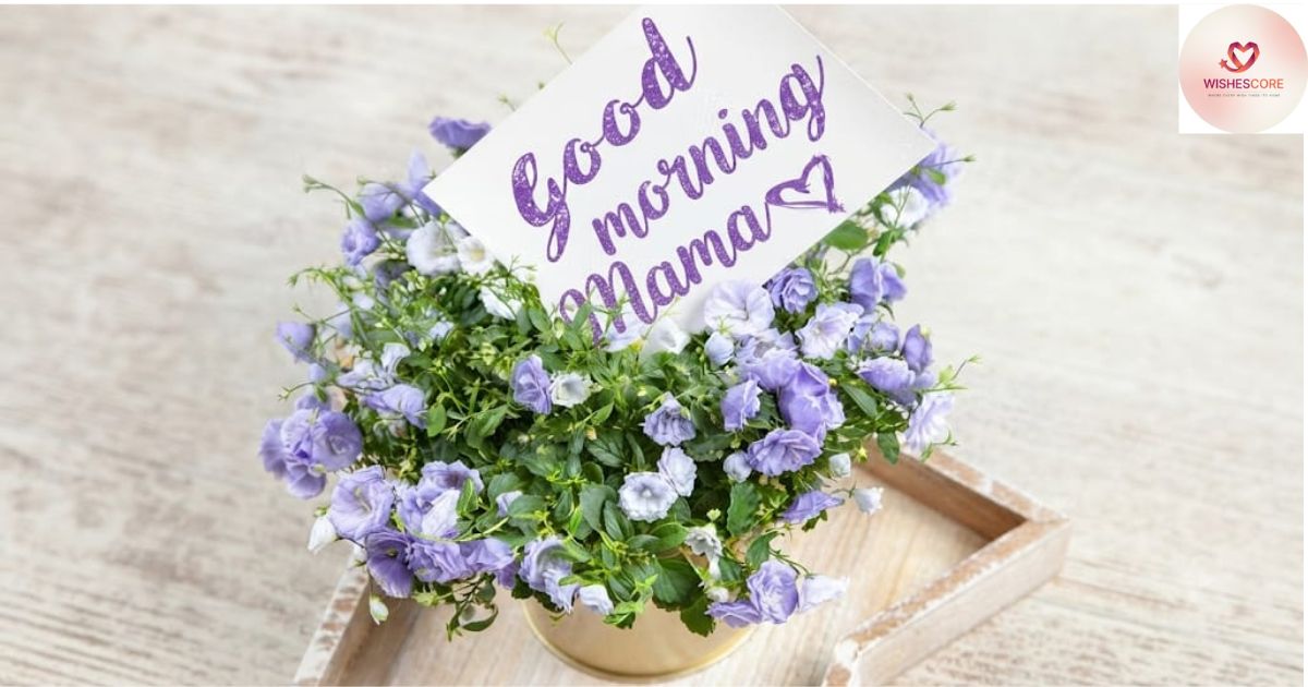 Sweet good morning messages for mom with heartfelt wishes, loving words, and beautiful morning blessings to make her day special.